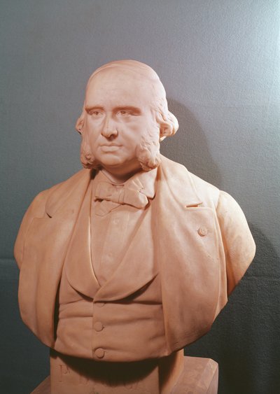 Bust of Paul Broca (1824-80) by Emile Arthur Soldi or Soldi Colbert
